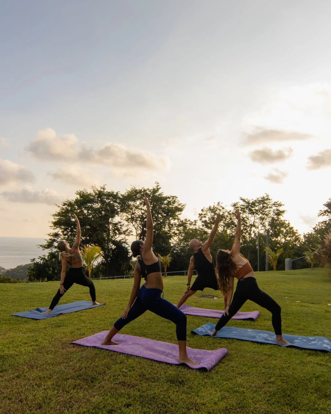 el santuario odisea latina 11