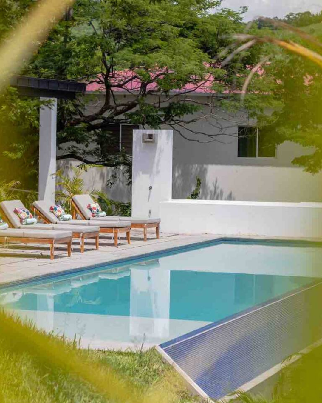 el santuario odisea latina 12