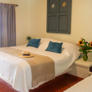 casa tia tita El zonte Odisea Latina 9